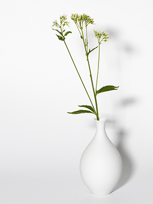 森岡希世子さんの花入れ・H15