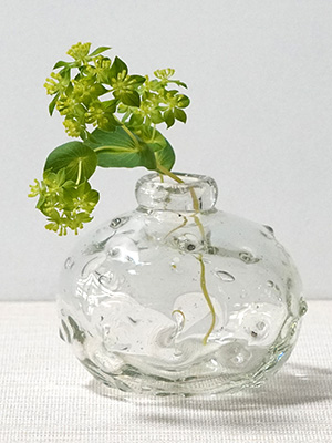 �R�c�ޏ��q����̃e�R�ۉԊ�